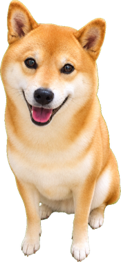 犬の写真の雰囲気を残した見本